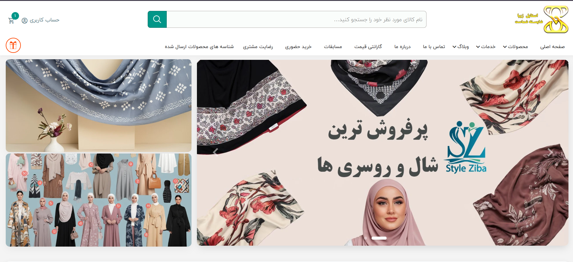 Website Development & Improvement β Styleziba